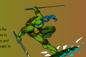 忍者神龟战海盗