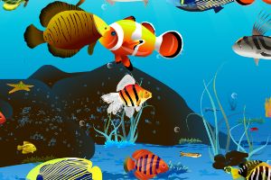 热带鱼版大鱼吃小鱼