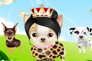 可爱的小狗比赛