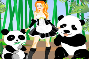 凯西的动物写真