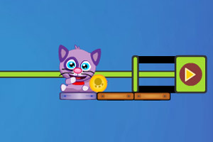 喂食猫咪选关版