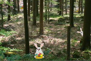 找出复活节兔子