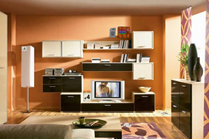 偷宝石逃出豪宅2