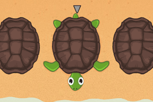 小乌龟猜猜看