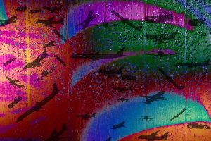 中国涂鸦播音室