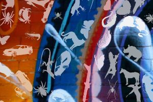 旧金山涂鸦工作室