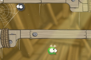 小毛球大战蚊子