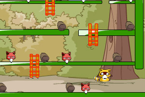 小浣熊收集坚果