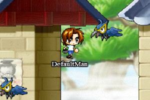 冒险岛之正面的菜鸟