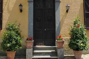 莫特的异国之旅3