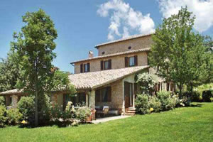 莫特的异国之旅2