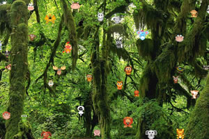 找出隐藏的动物