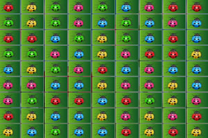 七星瓢虫对对碰