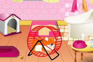 照顾可爱小仓鼠