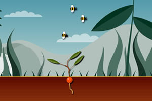 你有植物聪明吗