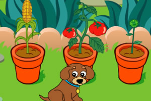 朵拉的魔法花园