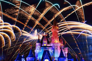 绚烂花火找星星