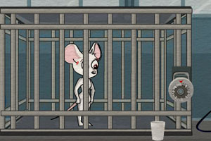 女白鼠逃离实验室