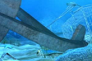 会说话的搞怪鱼