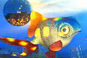 会说话的搞怪鱼