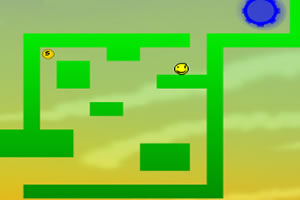 小黄球的神奇世界