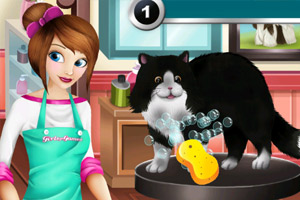 宠物美容大师2