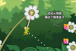 调皮的哈密瓜虫