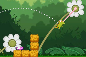 调皮的哈密瓜虫