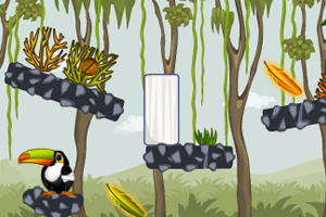 丛林中的大嘴鸟