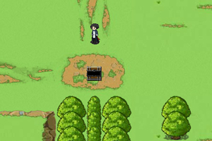 水晶勇士2无敌版