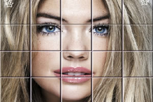 大明星凯特拼图