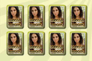 凡妮莎记忆卡片