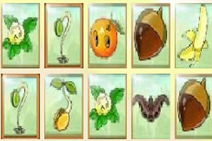 果蔬记忆卡