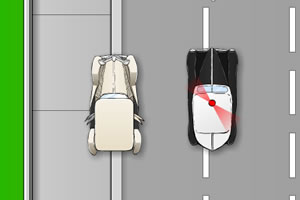 疯狂的兔子大盗