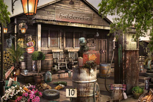 美国乡村找东西