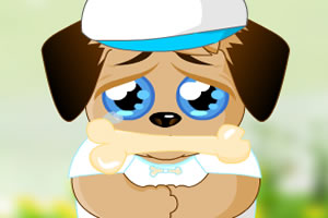 悲伤的小狗装扮