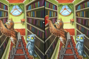 聪明的猫头鹰找茬