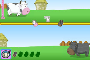 呆呆超人之斗牛大赛