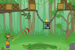 长颈鹿解救小伙伴