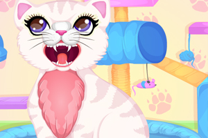 救治小猫咪的牙齿