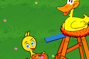 农场里的小鸭子