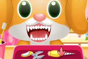 护理小狗的牙齿