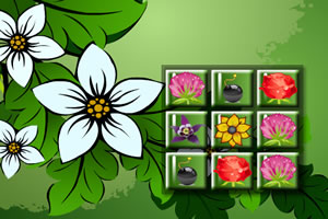 鲜花版不要点炸弹