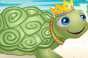 打扮可爱的小乌龟