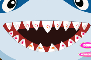 给鲨鱼做牙齿护理