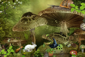 妖精花园找东西