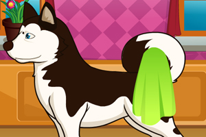 狗狗的愉快生活