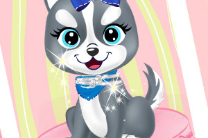 皇家宠物美容沙龙