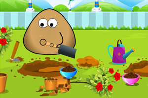 土豆君鲜花种植