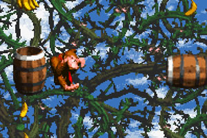 荆棘丛里的金刚